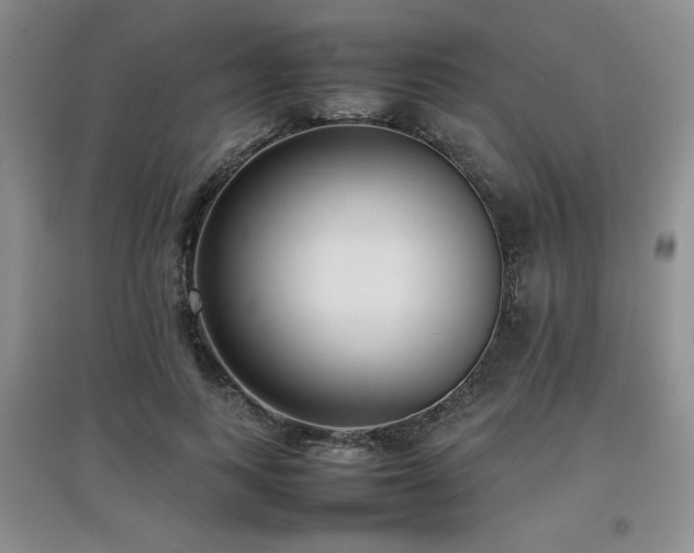 X0000097800743200803141053