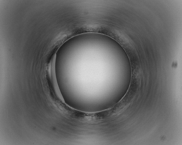 X0000097800744200803141053