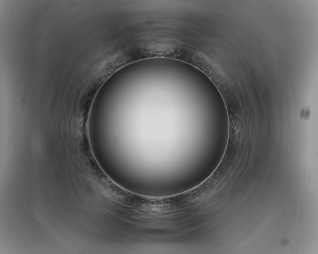 X0000097800745200803141053