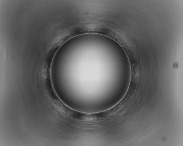 X0000097800746200803141053