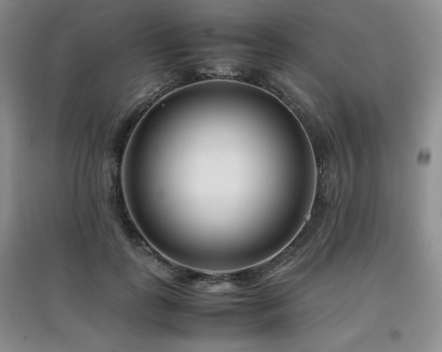 X0000097800747200803141053