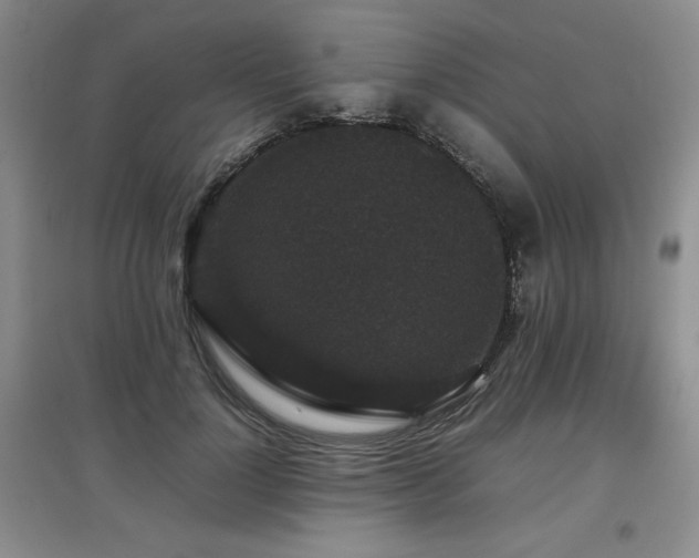 X0000097800748200803141053