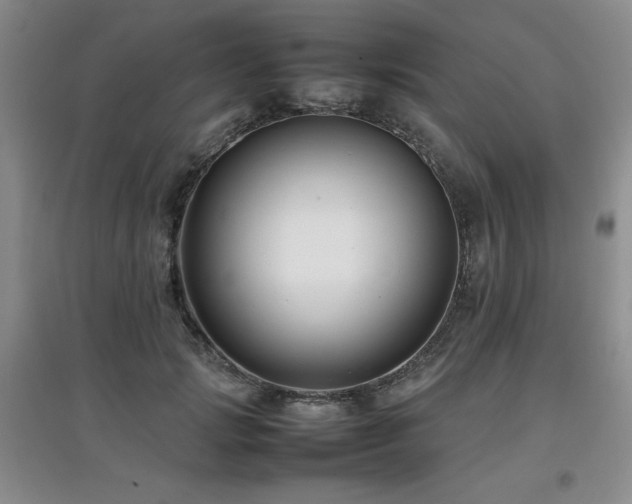 X0000097800749200803141053