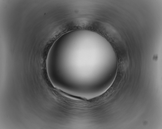 X0000097800750200803141053