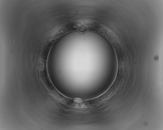 X0000097800751200803141053