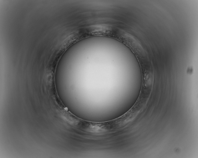 X0000097800753200803141053