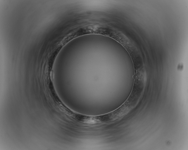 X0000097800754200803141053