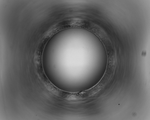 X0000097800755200803141053