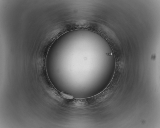 X0000097800756200803141053