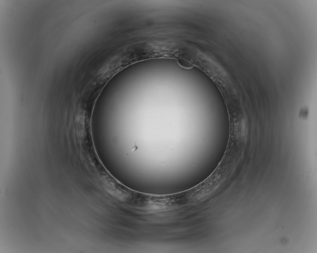 X0000097800757200803141053