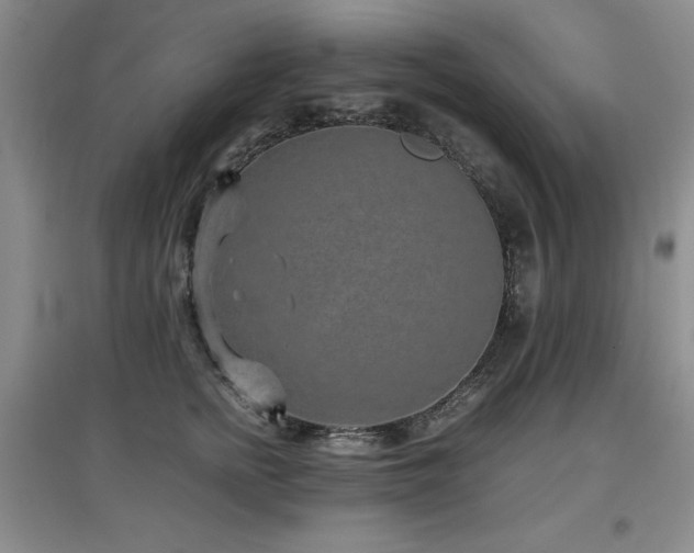 X0000097800758200803141053