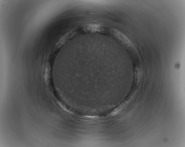 X0000097800760200803141054