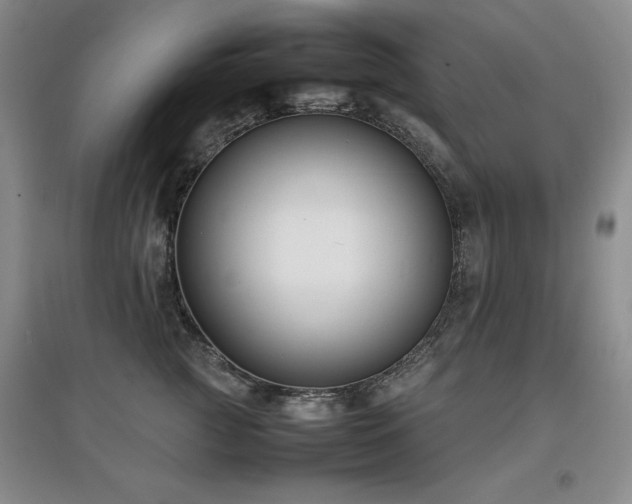 X0000097800761200803141054