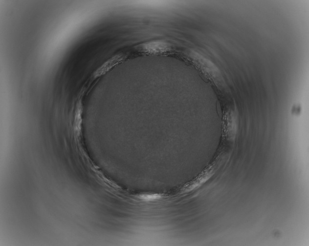 X0000097800762200803141054