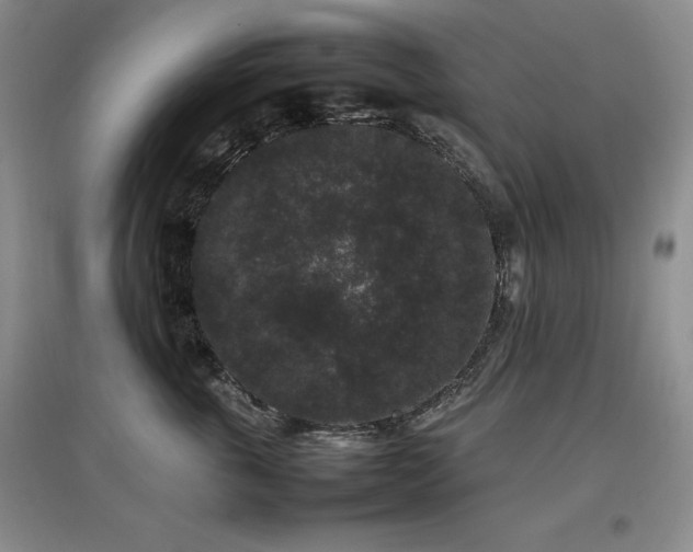 X0000097800763200803141054