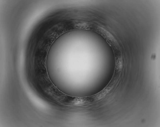 X0000097800764200803141054