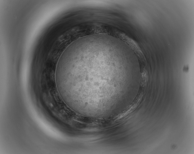 X0000097800765200803141054