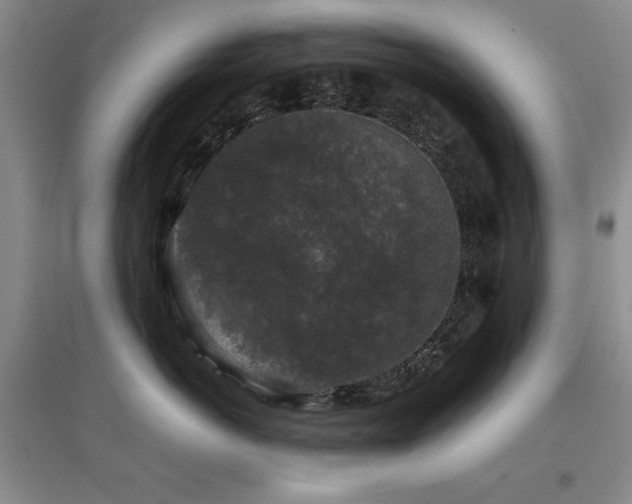 X0000097800766200803141054