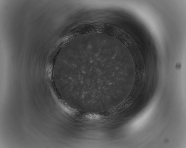 X0000097800767200803141054