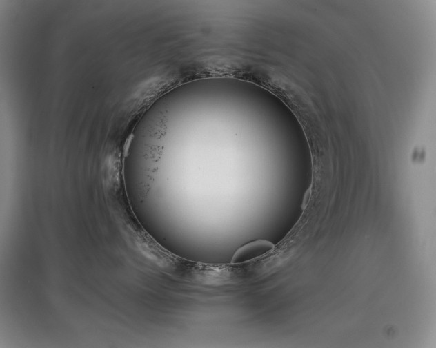 X0000097800768200803141054