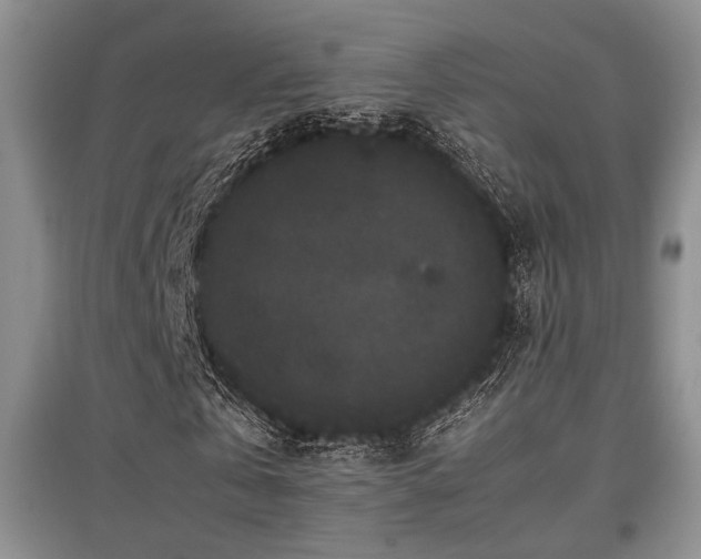 X0000097800769200803141053