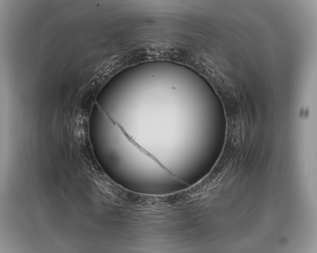 X0000097800770200803141053