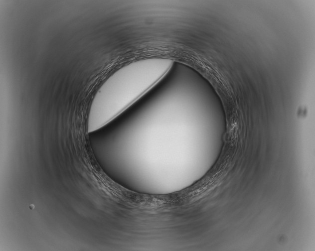 X0000097800772200803141053