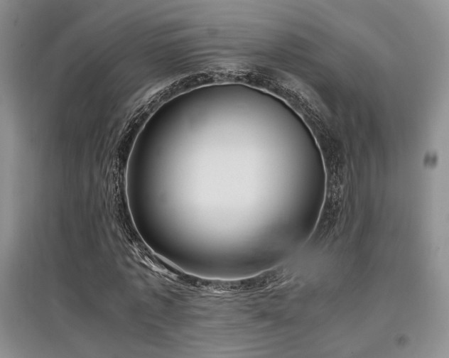 X0000097800773200803141053