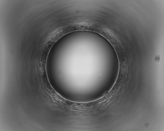 X0000097800774200803141053