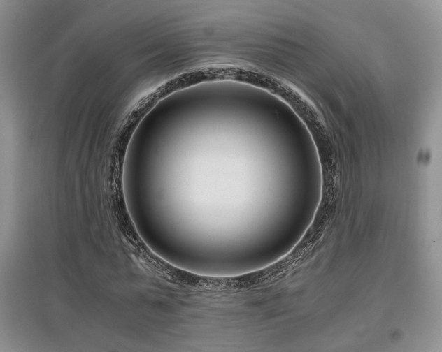 X0000097800775200803141053