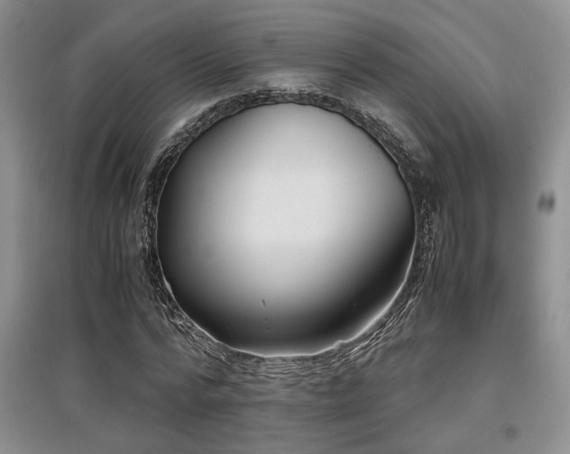 X0000097800776200803141053