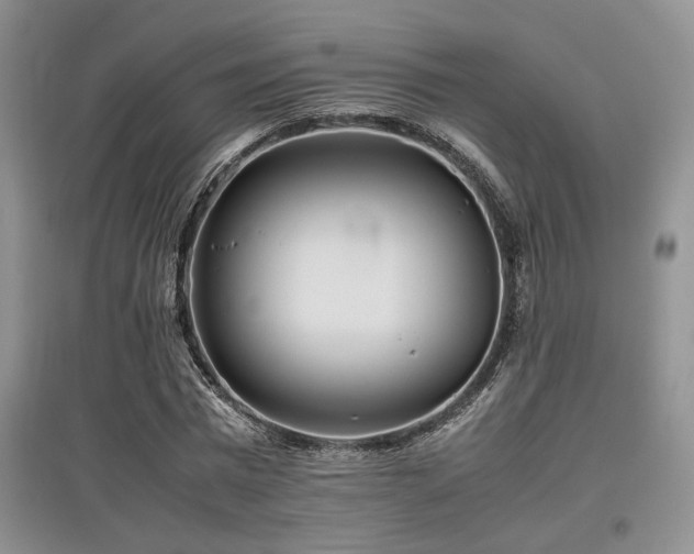 X0000097800777200803141053