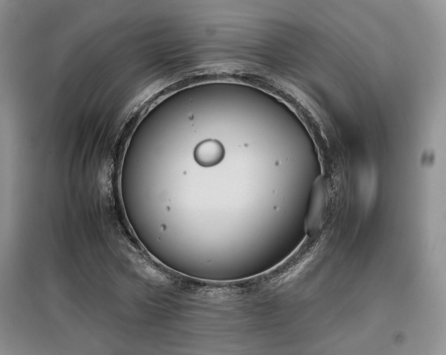 X0000097800778200803141053