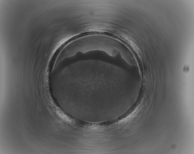 X0000097800779200803141053