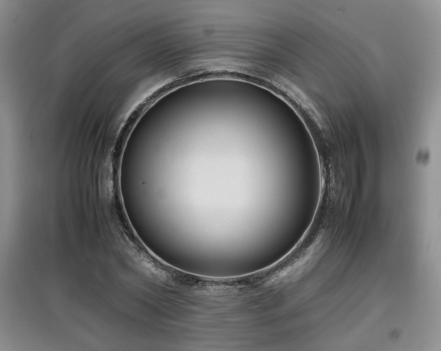 X0000097800782200803141053