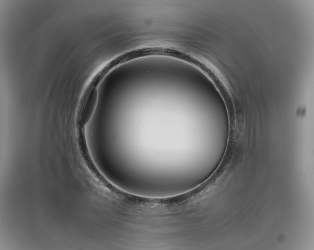 X0000097800783200803141053