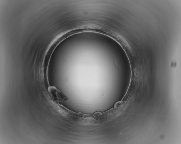 X0000097800784200803141053