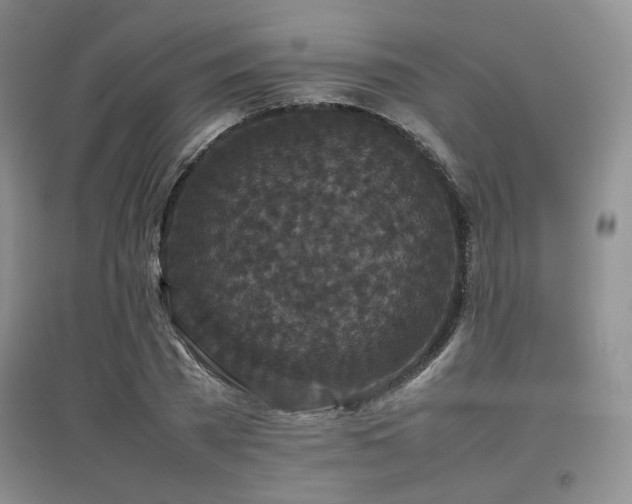 X0000097800785200803141053