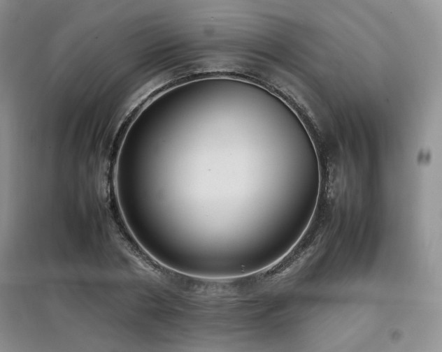 X0000097800786200803141053