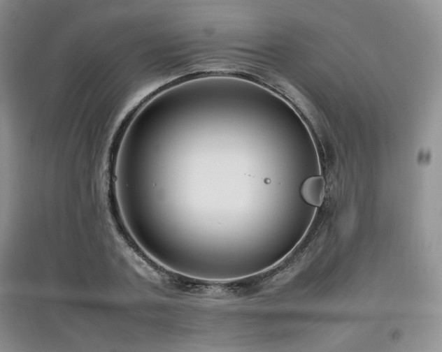 X0000097800787200803141053