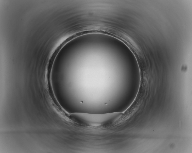 X0000097800788200803141053