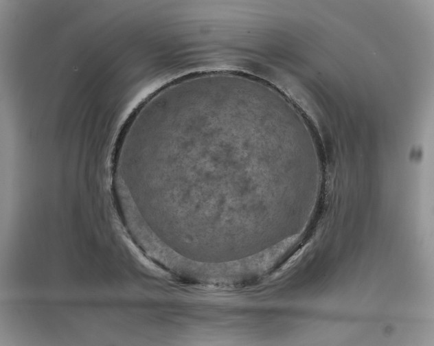 X0000097800789200803141053