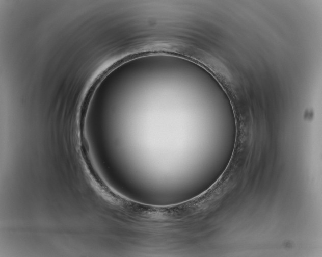 X0000097800792200803141053