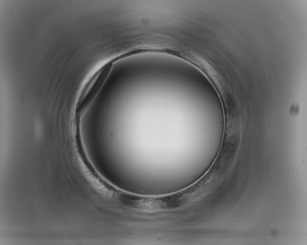 X0000097800795200803141053