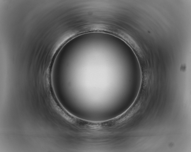 X0000097800798200803141053