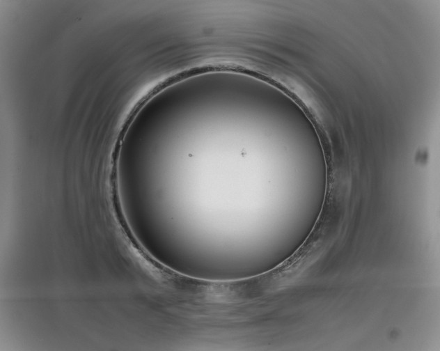 X0000097800799200803141053