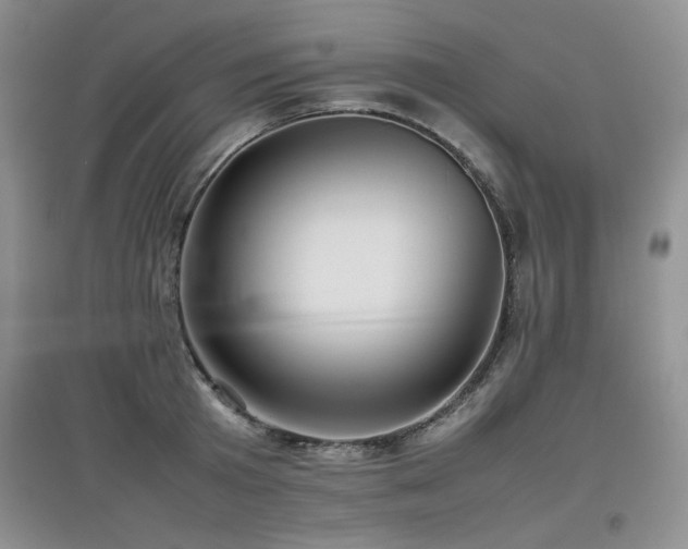 X0000097800801200803141053