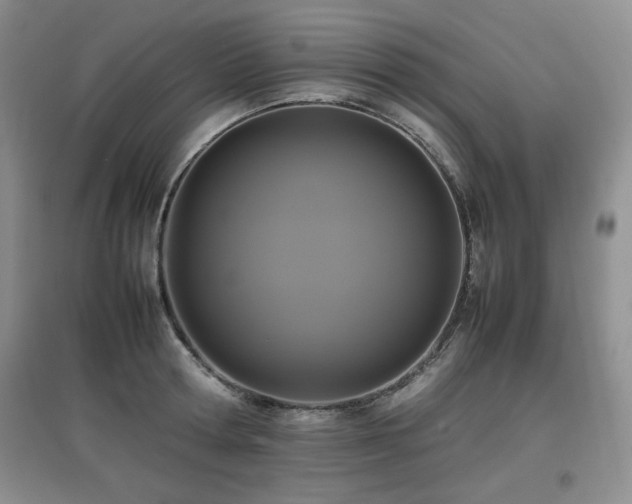 X0000097800802200803141052