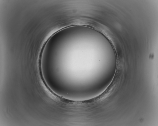 X0000097800803200803141052