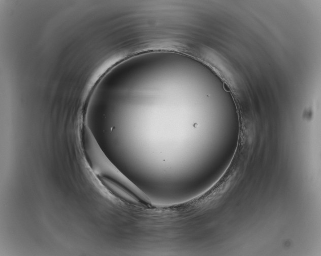 X0000097800804200803141052